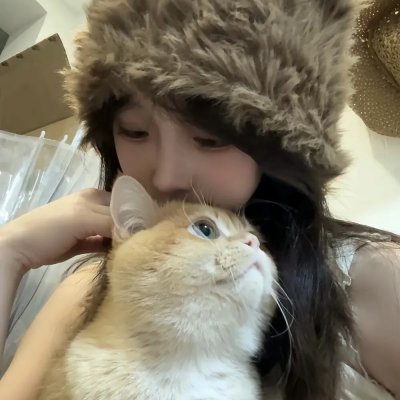 白头盔